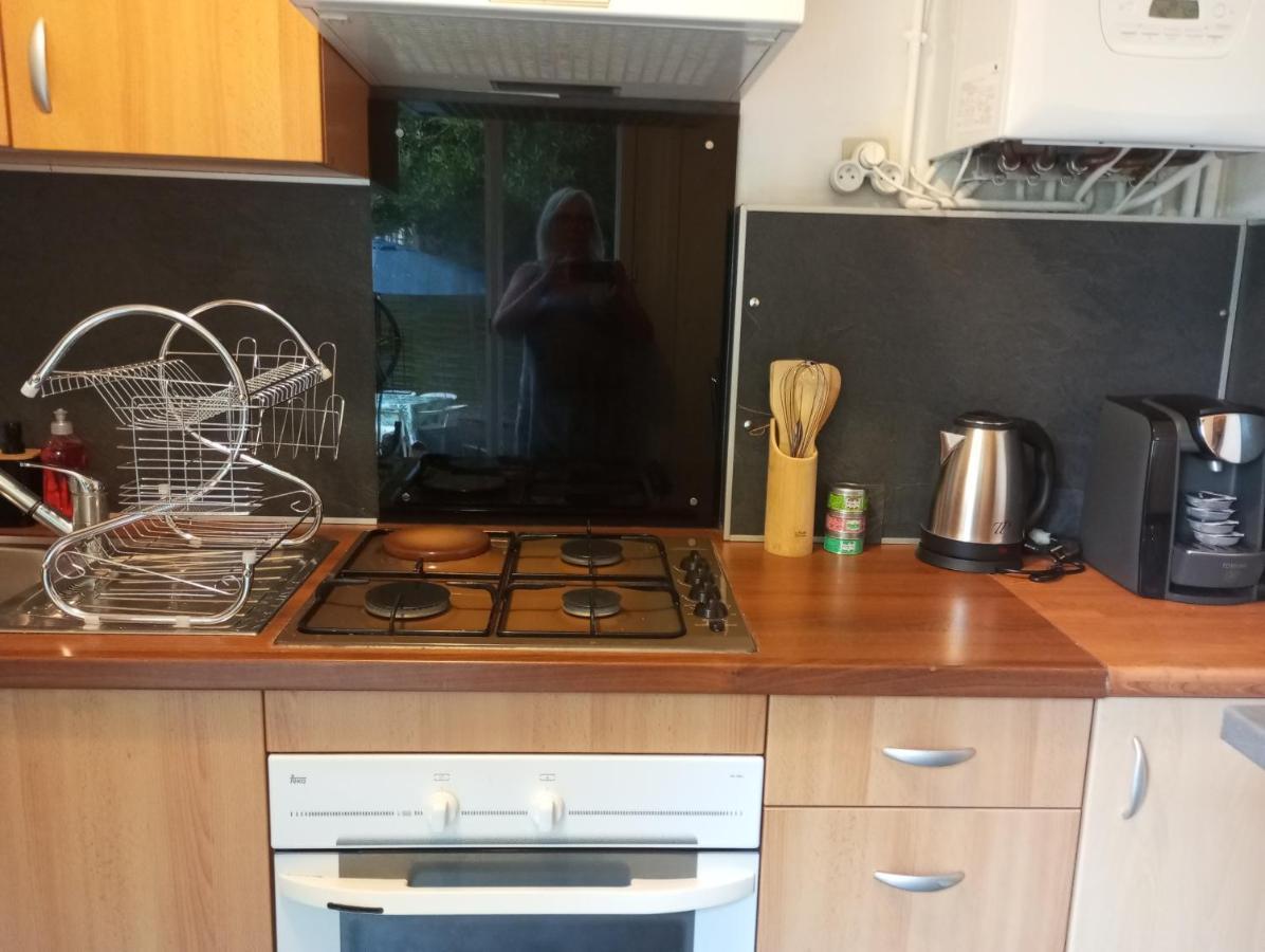 Appartement Hyper Centre 1 Lorient Jardin Clos エクステリア 写真