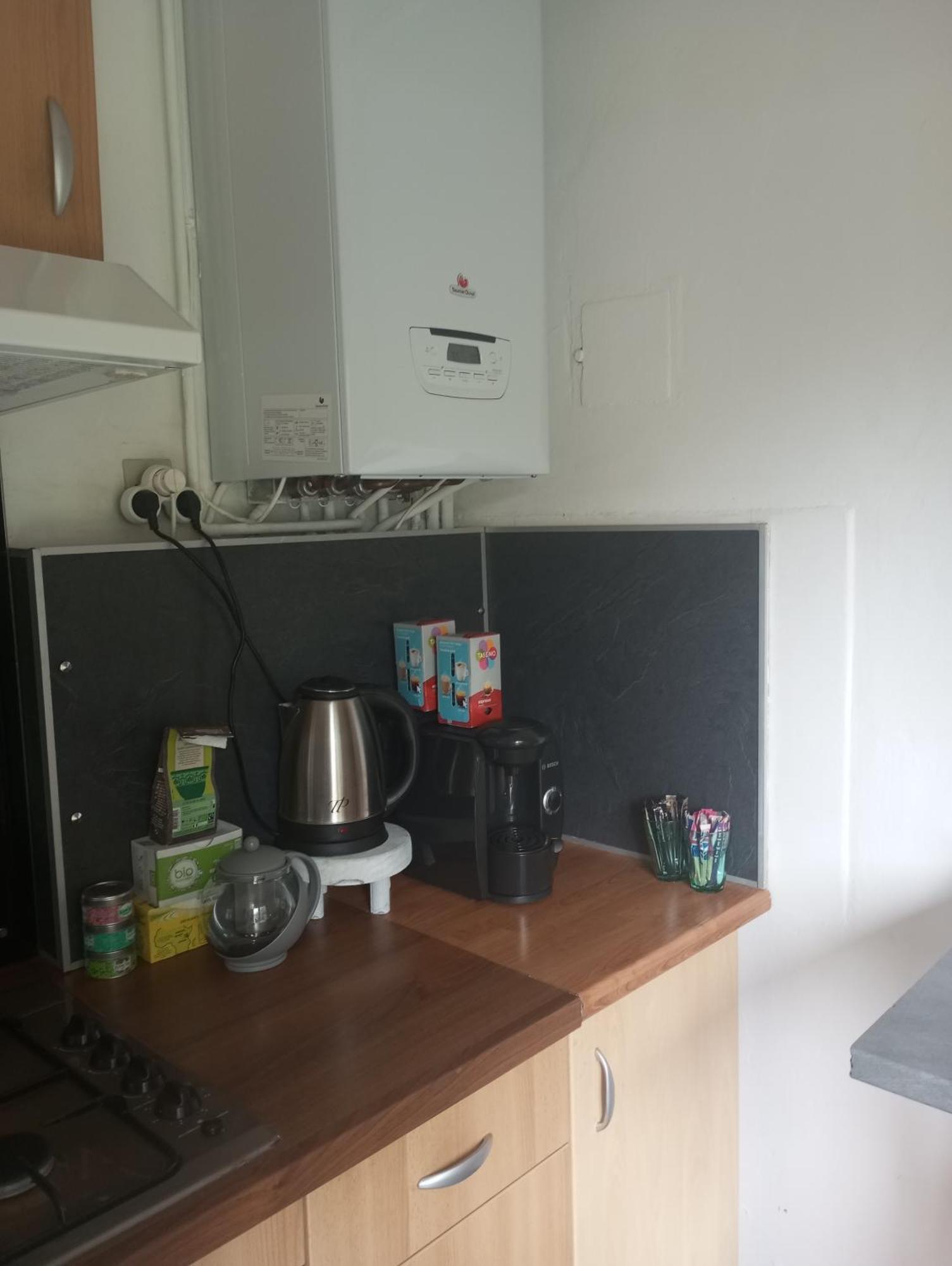 Appartement Hyper Centre 1 Lorient Jardin Clos エクステリア 写真